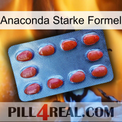 Anaconda Strong Formula 06